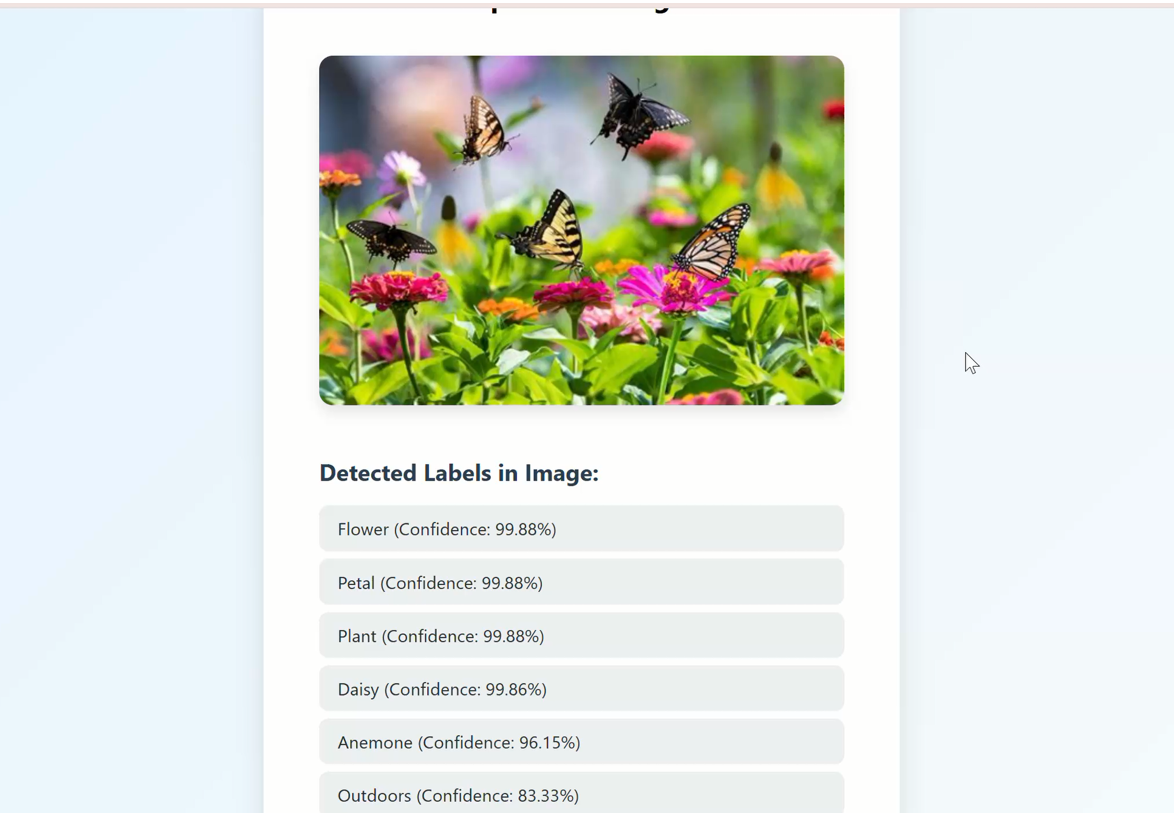 Portfolio Website Screenshot